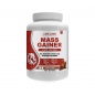  Lion Labs Mass Gainer 3000 